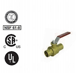 Legend Valve 101-209 2-1/2" S-1001 Ball Valve