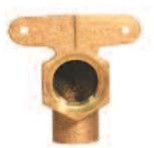 Legend Valve 302-229 1/2" SWT X FIP High Ear Elbow