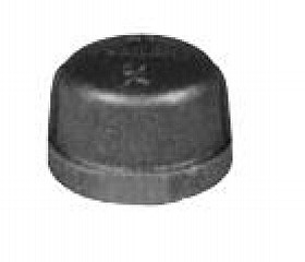 Legend Valve 350-481C 1/4" Black Cap