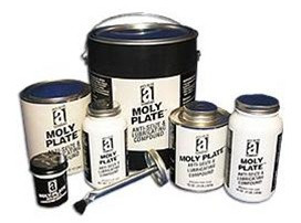 Anti-Seize 37010-CS MOLY PLATE 8 oz. Brush Top, 12/Case