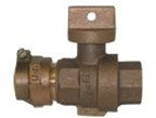 AY McDonald 4131345 6002-22 1 STP&DRAIN BV-22X FIP