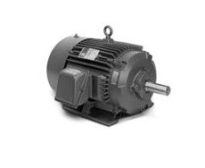 Baldor CECP83584T-4 IEEE 841, Three Phase, Totally Enclosed, 460 Volts