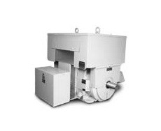 Baldor EM251002S-2340 Three Phase, 2300/4000 Volts, WPI & WPII, Foot Mounted, Medium Voltage