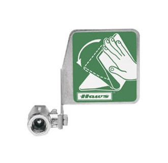 Haws SP229.158 1/2" X 1/2" ball valve assembly with fl ag, self draining, horizontal mount