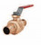 Legend Valve 101-586 3/4" T-806 Pex END Ball Valve (13L-101-586)