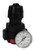 Dixon R16-02RG 1/4" Compact Regulator with Gauge