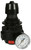 Dixon R26-02RHG 1/4" Std High Pressure Regulator