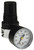 Dixon R374-02CG 1/4" Regulator