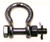 Campbell 6402408 1/2" Stainless Steel Bolt Type Anchor Shackle, Forged Type 316, Bulk