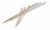 803-WC  Hardwood Products Co 3" Puritan Cotton Applicator With Wood Shaft (100 Per Bag)