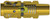 Dixon 1AM1-B 1/8" Body x 1/8" MNPT Brass