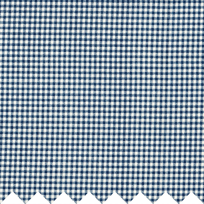 fc-nautical-gingham-swatch.jpg