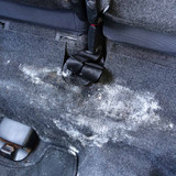 Mould on carpet