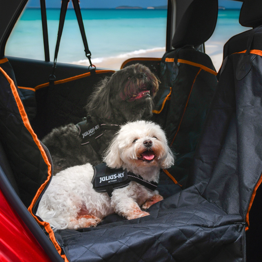 All-Weather Dog Car Seat Cover