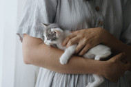 Boost Your Pet's Gut Health: The Power of Prebiotics and Probiotics!
