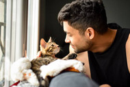 Protecting Your Pets Wellbeing: Exploring How Environmental Factors Influence Pet Health