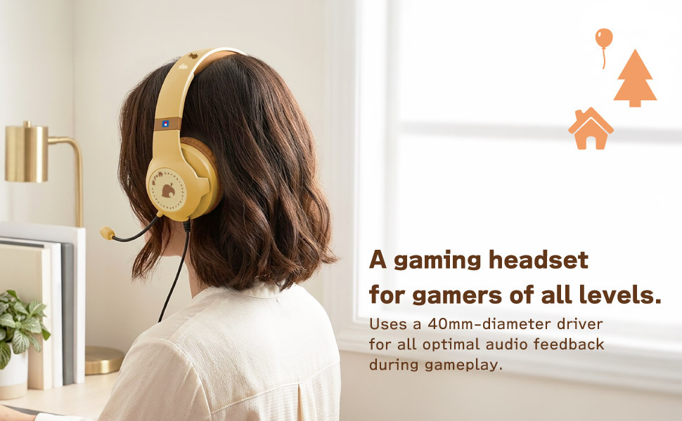 Headset Detail