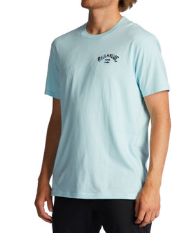 Billabong Cotton SS T-Shirt ~ Arch Fill coastal
