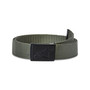 Alpinestars Men's Web Belt ~ Ageless military green black