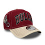 Chicago Bulls City Icon EFrame Mens New Era Cap