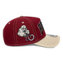 Chicago Bulls City Icon EFrame Mens New Era Cap