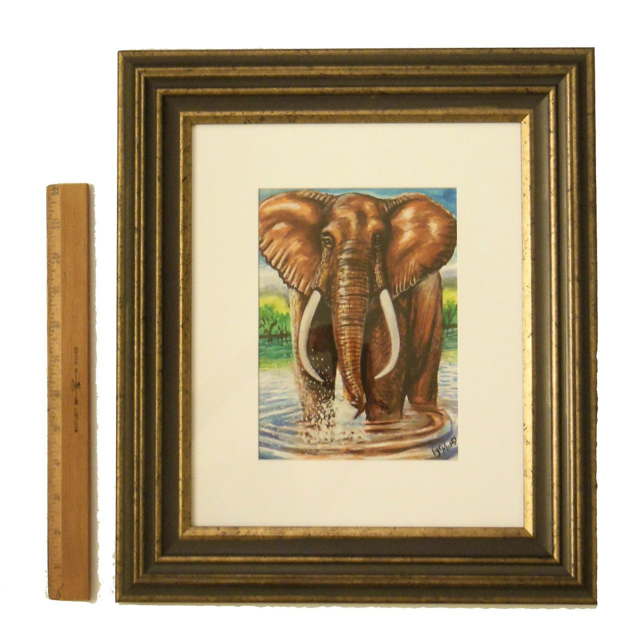 1277px x 1280px - Gracious Elephant Squirting Moments. Framed oil paint on paper. Zimbabwe  Collection