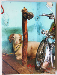 Musings. by Jane A Gordon.