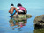 Reflections: Children on a Rock in the Sea.  Fanning Island. Photo. Signed and framed. Reflections: Children on a Rock in the Sea.  Fanning Island. Photo. Signed and framed.