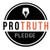 Pro-Truth Pledge Logo Lapel Pin: Pen Tip & Light Bulb.  18K Gold Pro-Truth Pledge Logo Lapel Pin: Pen Tip & Light Bulb.  18K Gold