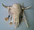 White Elk Wall Hanging: Perseverance, Reach for the Sky: by Naomi Knecht White Elk Wall Hanging: Perseverance, Reach for the Sky: by Naomi Knecht