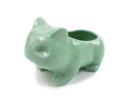Image for Aloe variant of Bulbasaur Succulent Pot