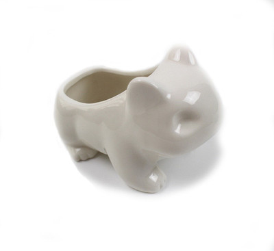 Image for Gray variant of Bulbasaur Succulent Pot
