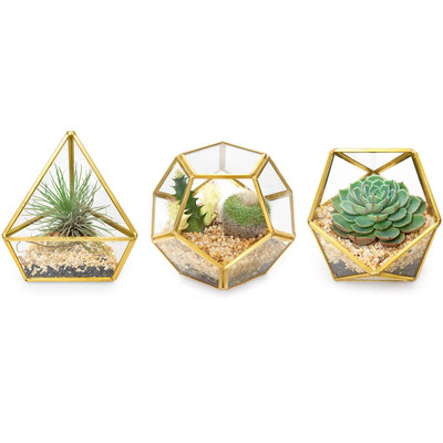 Glass Geometric Terrarium
