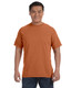C1717 - Adult Heavyweight T-Shirt