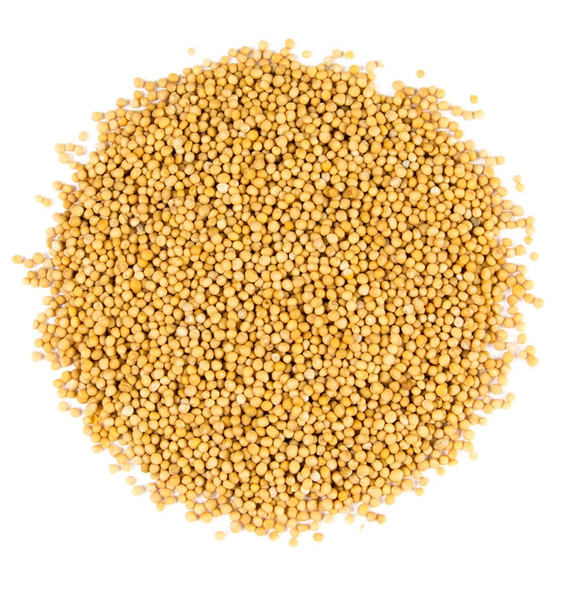 Mustard Seeds Whole (2oz)