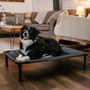 Lucky Dog Elevated Pet Bed, Medium, Gray, Polyester/Alloy Steel, 35.2x22.4x7.5H