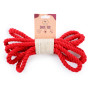 Park Life Designs Loopsy Rope Tug Toy 100% Organic Cotton Red