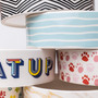 Park Life Designs Lisbon Small Pet Bowl 2 Cup