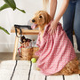 Bone Dry Microfiber Pet Drying Towel, Trellis Paw Print, Rose, 41x23.5"