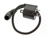 Polaris-Ignition Coil Assembly