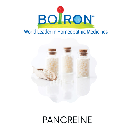 Pancreine - NPN 80012058