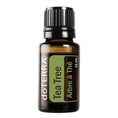 original__08817.1670111612.386