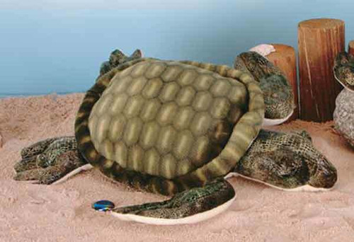 8" Sea Turtle Plush Toy