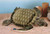 8" Sea Turtle Plush Toy