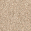 Brockway Carpets British Rare Breeds