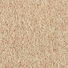 Penthouse Carpets Carlton 36oz & 42oz