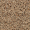 Penthouse Carpets Carlton 36oz & 42oz