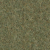 Penthouse Carpets Carlton 36oz & 42oz