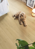 Quick-Step Capture Brushed Oak Natural Laminate Flooring