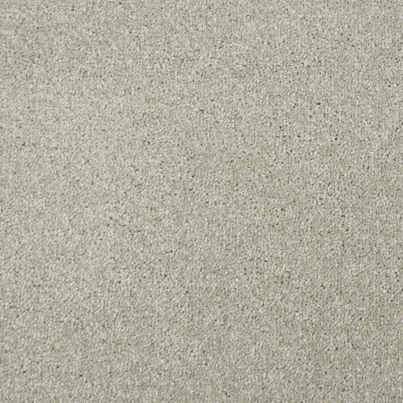 Curated visual reference: Visual Reference: Penthouse Synthetic Carpets Performance